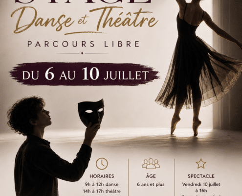 Affiche stage d'été 2026